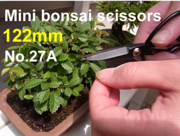 Bonsaisaks_27A_4