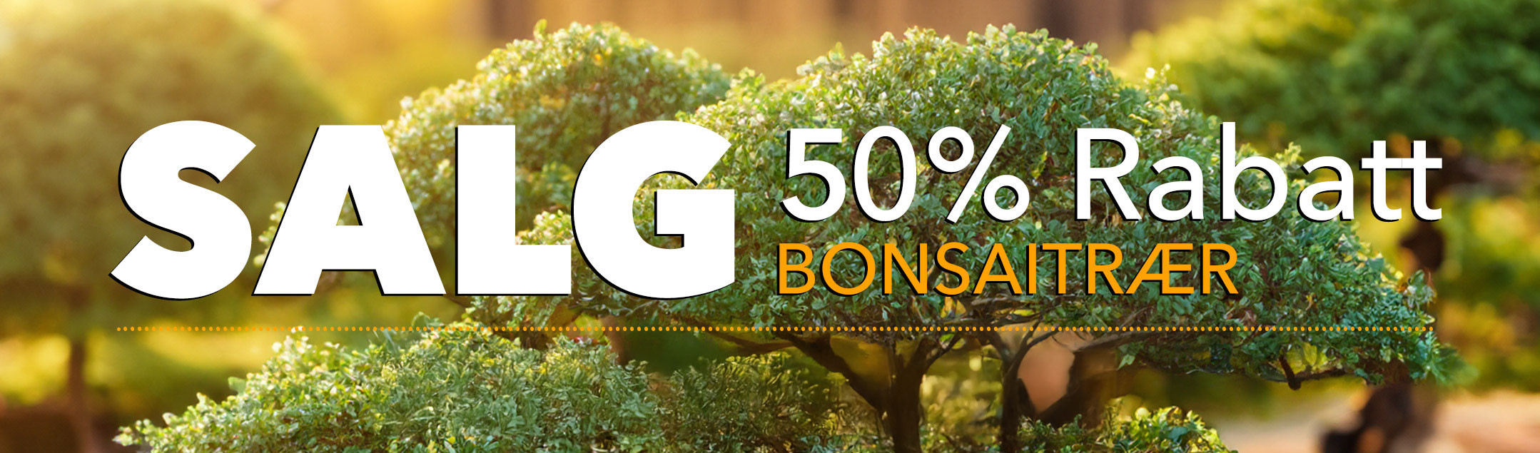 bonsaisalg-50%