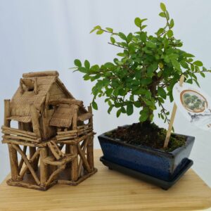 Chinese Water House Glazed Brown