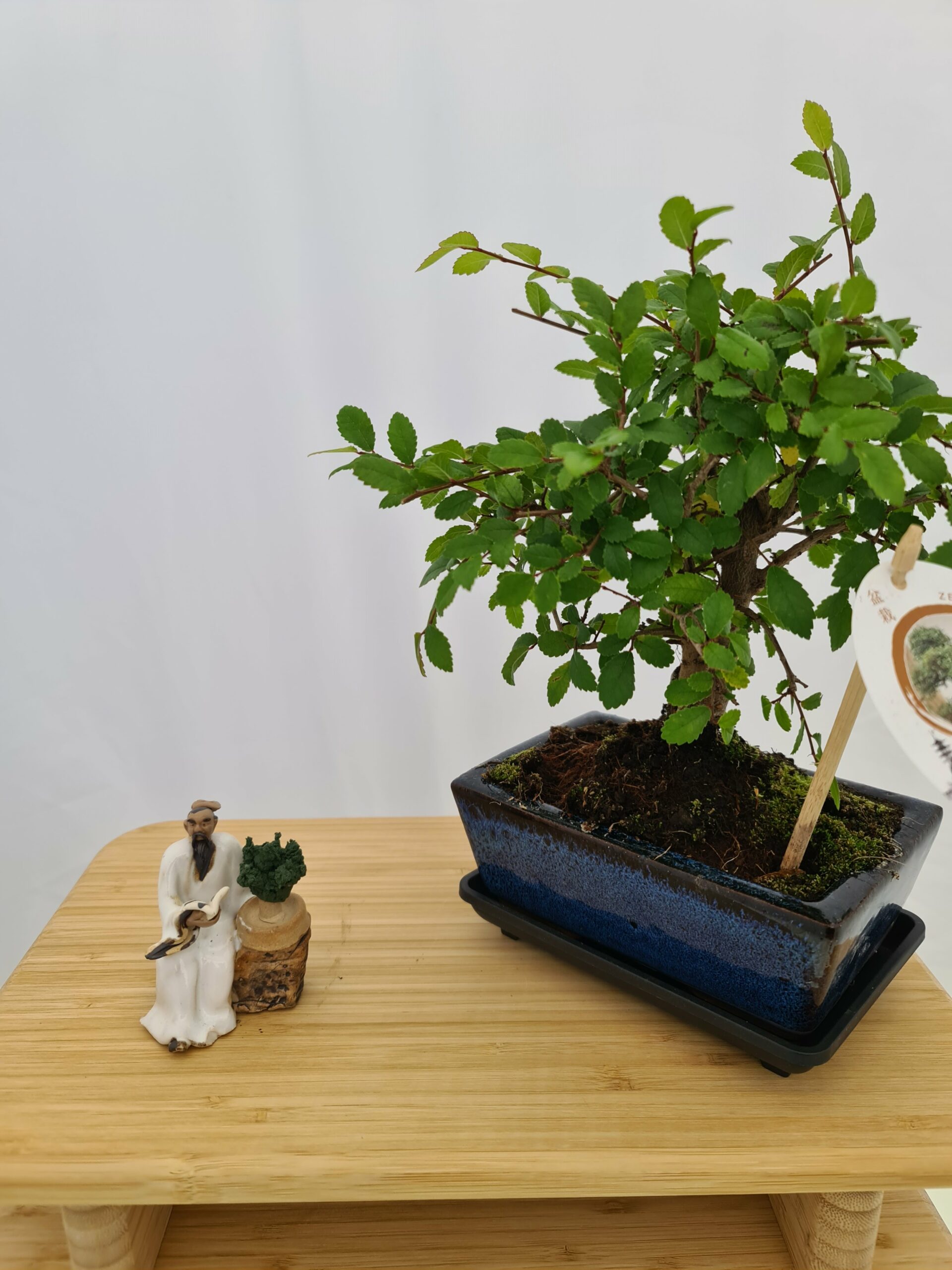 Kinesisk Fisker Miniatyr Nr 4