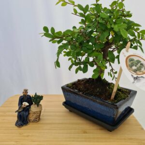 Kinesisk Fisker Miniatyr Nr 5